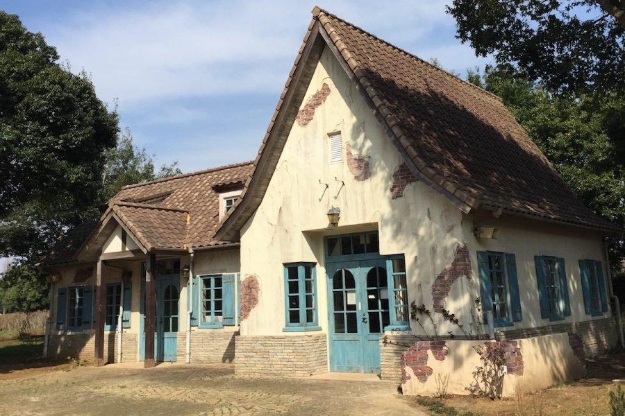 🌳 나뭇잎 사이로 비치는 햇살 숲의 이바라이도(코모레비모리노 이바라이도) 이미지 5